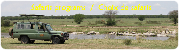 Sky of Serengeti Safaris Land Cruiser Mara River