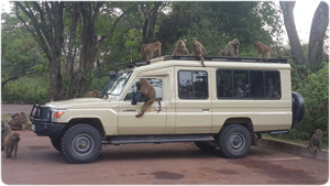 Sky of Serengeti Safaris Vehicules